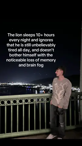 The lion pretends it isn’t happening #fyp #fypシ #fypシ゚viral #foryoupage #pnw