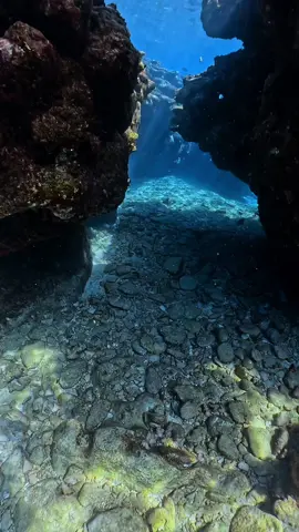青と緑が地球を感じる🌏#underwaterphotography#snorkel#japantrip#amami#海中洞窟#