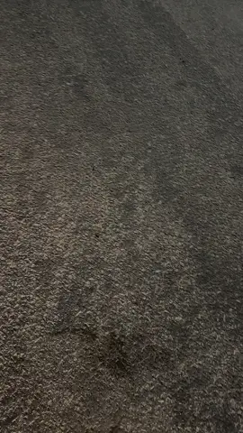 😆😆😆#fppppppppppppppppppppppp #اكسنت_2019 #الخفجي_الشرقيه 