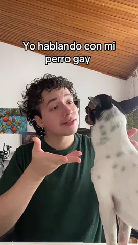 Metete a tu mundo 🌎 🏳️‍🌈@Pet Society Art Shop #humor #fyp #foryoupage #gay #perros 