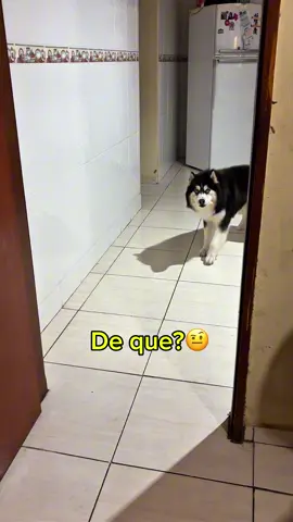 É cada uma #funny #fyp #fy #explorer #vaiprofycaramba 