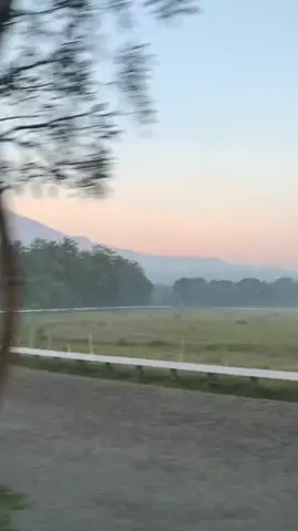 aaaa baguss bgdd#salatiga24jam #salatigatiktok #salatigaviral #pacuankuda #tegalwaton #view 