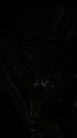 #عليبحر_علي_بحر #عليبحر💔😴 #viral #viral_video #fypシ #اكسبلورexplore  #فرقه_الاخوه_البحرينيه_🇧🇭 