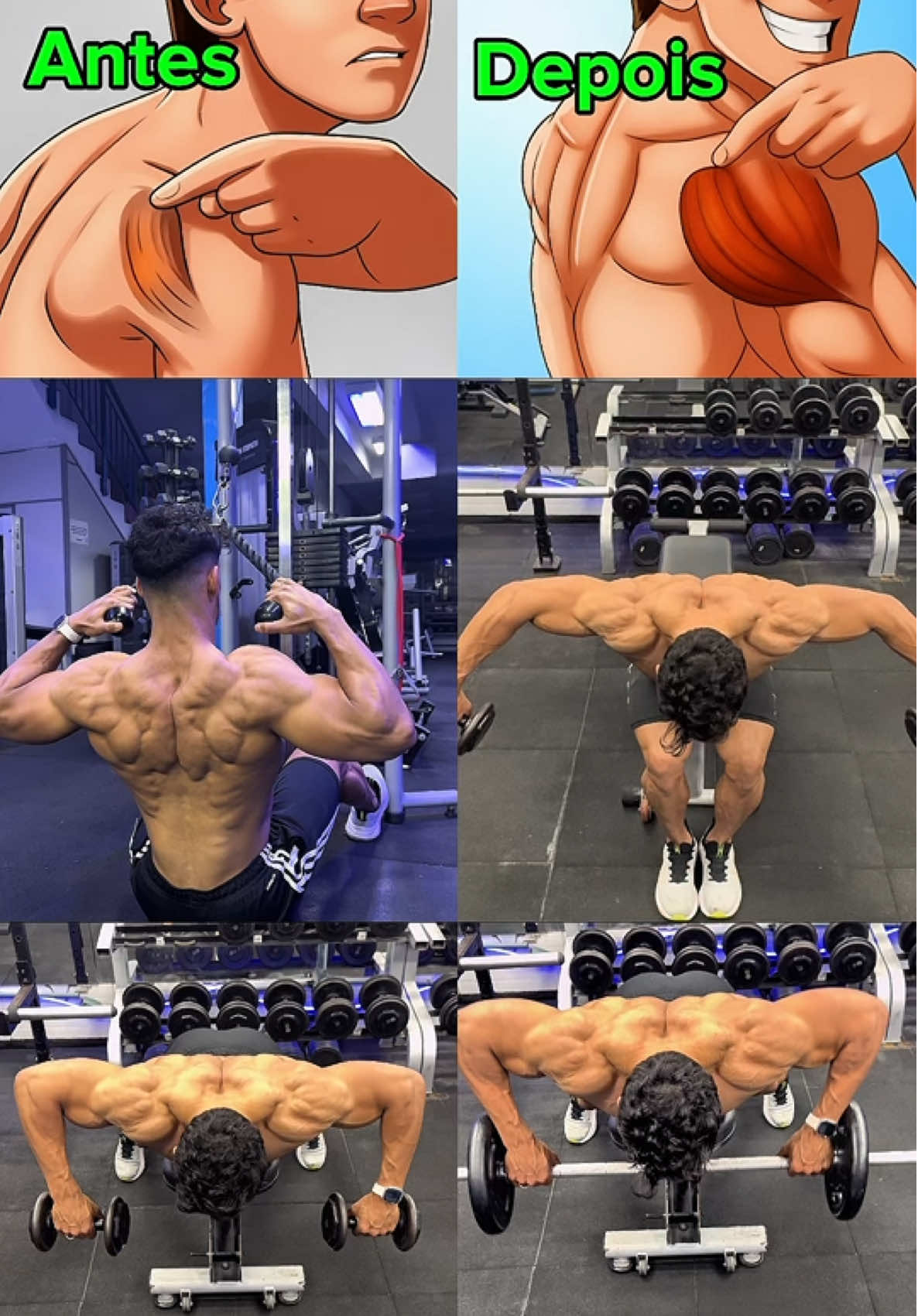 Muita gente só foca na frente e no lado do ombro… mas o deltoide posterior é o que faz a diferença! 💪🔥 Ele dá aquele visual 3D insano, deixa os ombros mais equilibrados, melhora a postura e ainda protege contra lesões. Quer ter ombros de respeito? Então não dá pra deixar esse músculo de fora. 😉 👀 Será que teu posterior tá no shape… ou tá sumido?