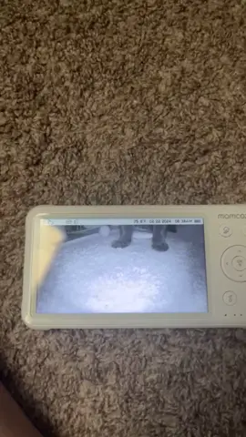 Testing out the baby monitor👀🐈‍⬛#🐈‍⬛ #fyp #gato