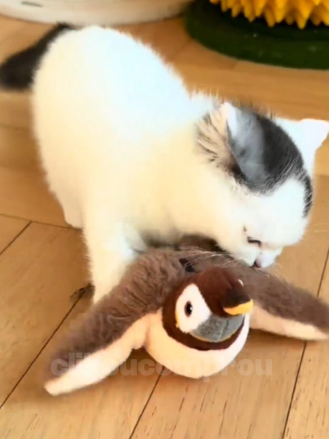 Simulador Pássar Brinquedo interativo para gato 