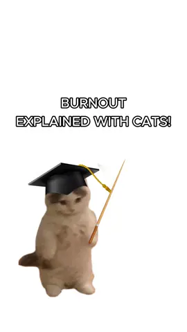 Kitty struggles with Burnout! #cats #kitties #sillycats #funnycats #burnout 