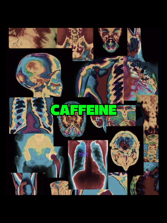 Coffee #Neuroscience #psychologyfacts #brainpower #caffeine #coffee 