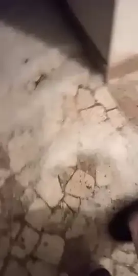 #tiktoklive #livehighlights