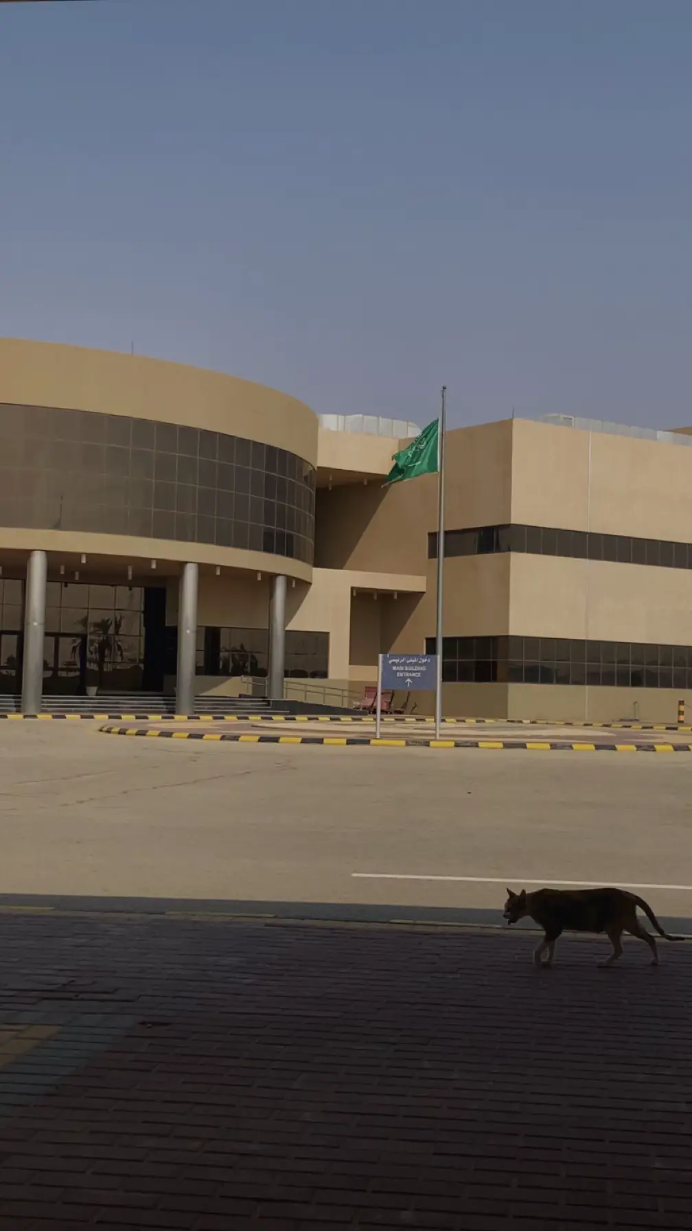 #اكسبلورexplore #اكسبلورexplore # كليه _ التقنيه # اليوم الوطني السعودي95🇸🇦✨🫡🤝✨