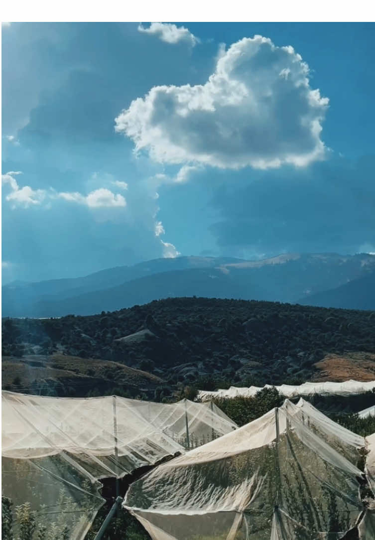 من بلدية بوحمامة 🍏 عاصمة التفاح 🍎 فيديو جديد! أضيفوا الحساب لمزيد من المحتوى السياحي 🎥✨ الفيديو كامل فالحساب ✅ #خنشلة #الاوراس #السياحة #سفر #اكتشف 