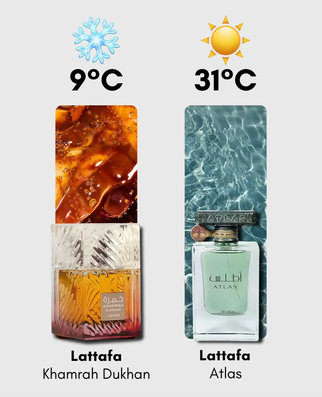 Un perfume perfecto para el frío y otro para el calor de cada marca ❄️🔥 No todos los perfumes sirven en cualquier clima🤭 Si quieres probarlos están disponibles en decants de 5 y 10 ml en disfragancias.com✅ #lattafa #afnan #rasasi #frenchavenue #alharamain 
