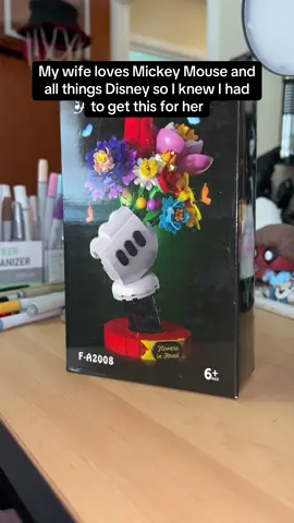 Any Disney fan could use one of these in their homes #fyp #ad #tiktokshop 