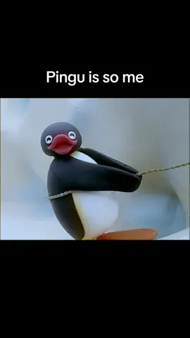 he gets it #pingu #nootnoot #Hiking #lazy #childhoodshows 
