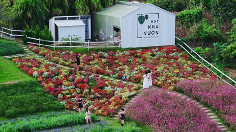 Một khu vườn - mộc châu #xuhuong #dulichmocchau #canhdepmocchau #mocchauchill #luymocchau 