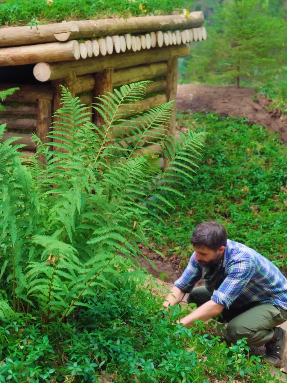 Building a natural shelter in the middle of the forest #survival #bushcraft #travel #Outdoors #camping 