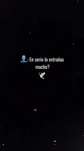 #CapCut  te entrañó cada día más 