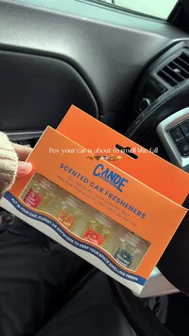 Run, don’t walk the 4-pack is on sale right now 🤎🍂🧸☕️ #carfreshener #fallaesthetic #fallscents #fallvibes #tiktokshoprestock 🍂🍂