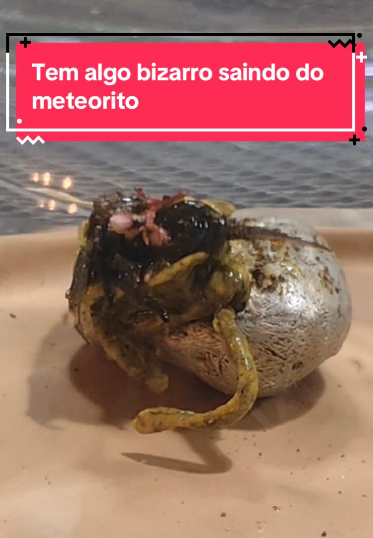 Tem algo bizarro saindo desse meteorito. #horror #terror #creepy