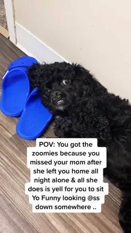 🤣