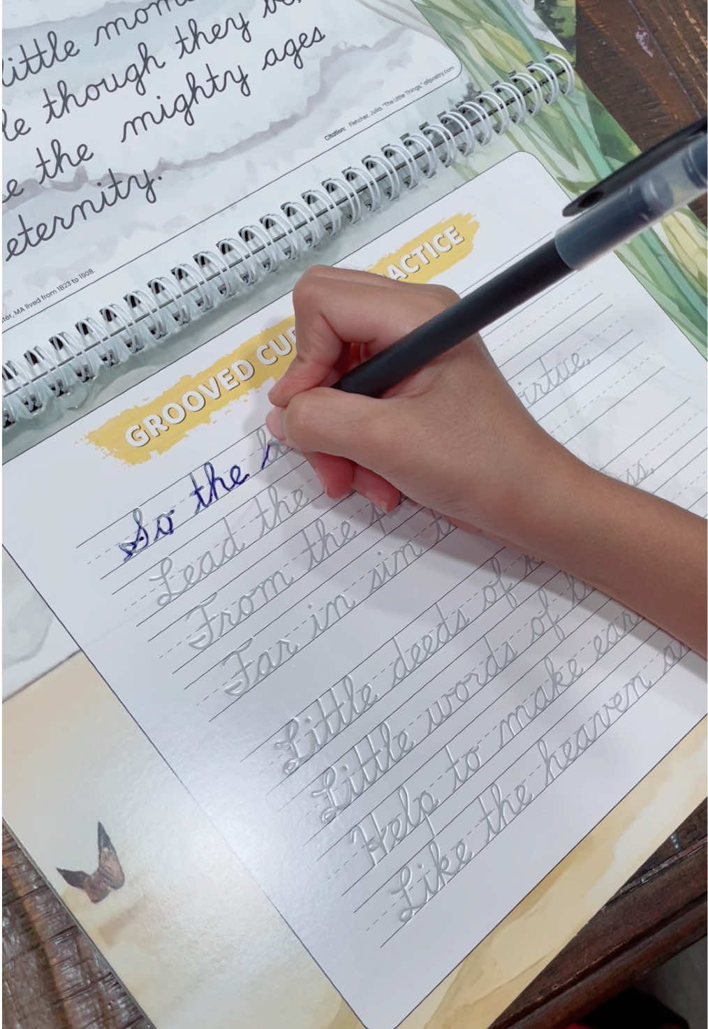 En la escuela ya no enseñan letra cursiva 🥺 con este libro pueden practicar y también borrarlo las veces que quieran ✨ #cursiva #letracursiva #cursivewriting #cursive #parati 