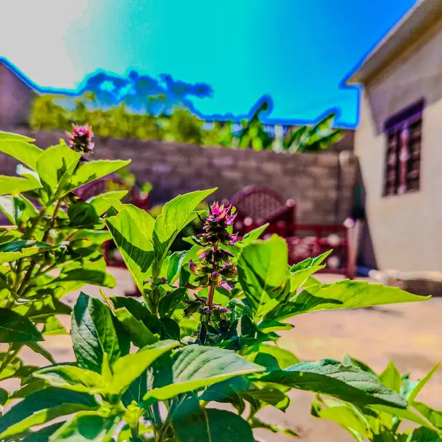 سودانيز_تيك_توك_مشاهير_السودان💜🇸🇩💜 #فوتوغرافر  #الشعب_الصيني_ماله_حل😂😂 #FOR_YOU #honorx7b