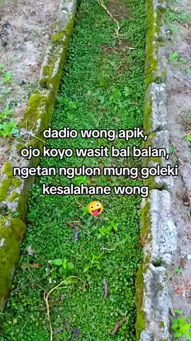 cukup wasit wae seng tukang golek i kesalahane uong,kowe ojo melu