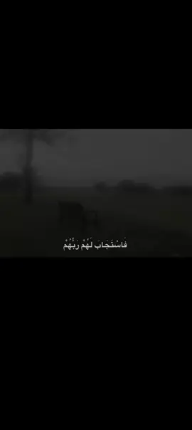بل توفيق للجميع