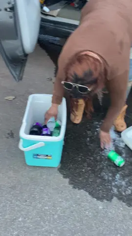 #fyp#viral 🤑🤞💚