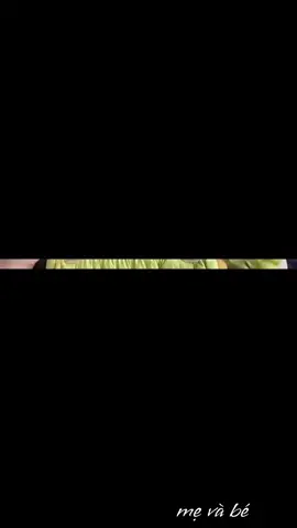 sét đồ tiểu thư cao cấp sang chảnh cá tính cho bé gái #setdokieuhanquoc #aokieuhottrend #thinhhanhtiktok2025 #fashion #setdodep 