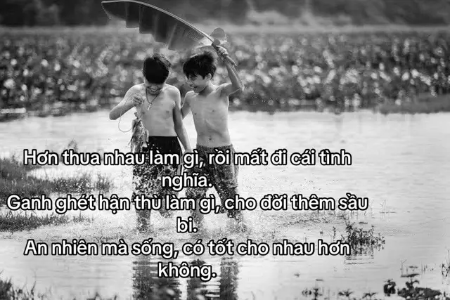 Hơn thua nhau làm gì, rồi mất đi cái tình nghĩa. Ganh ghét hận thù làm gì, cho đời thêm sầu bi. An nhiên mà sống, có tốt cho nhau hơn không.#xahoi #thanhcong #cuocsong #xhuong 