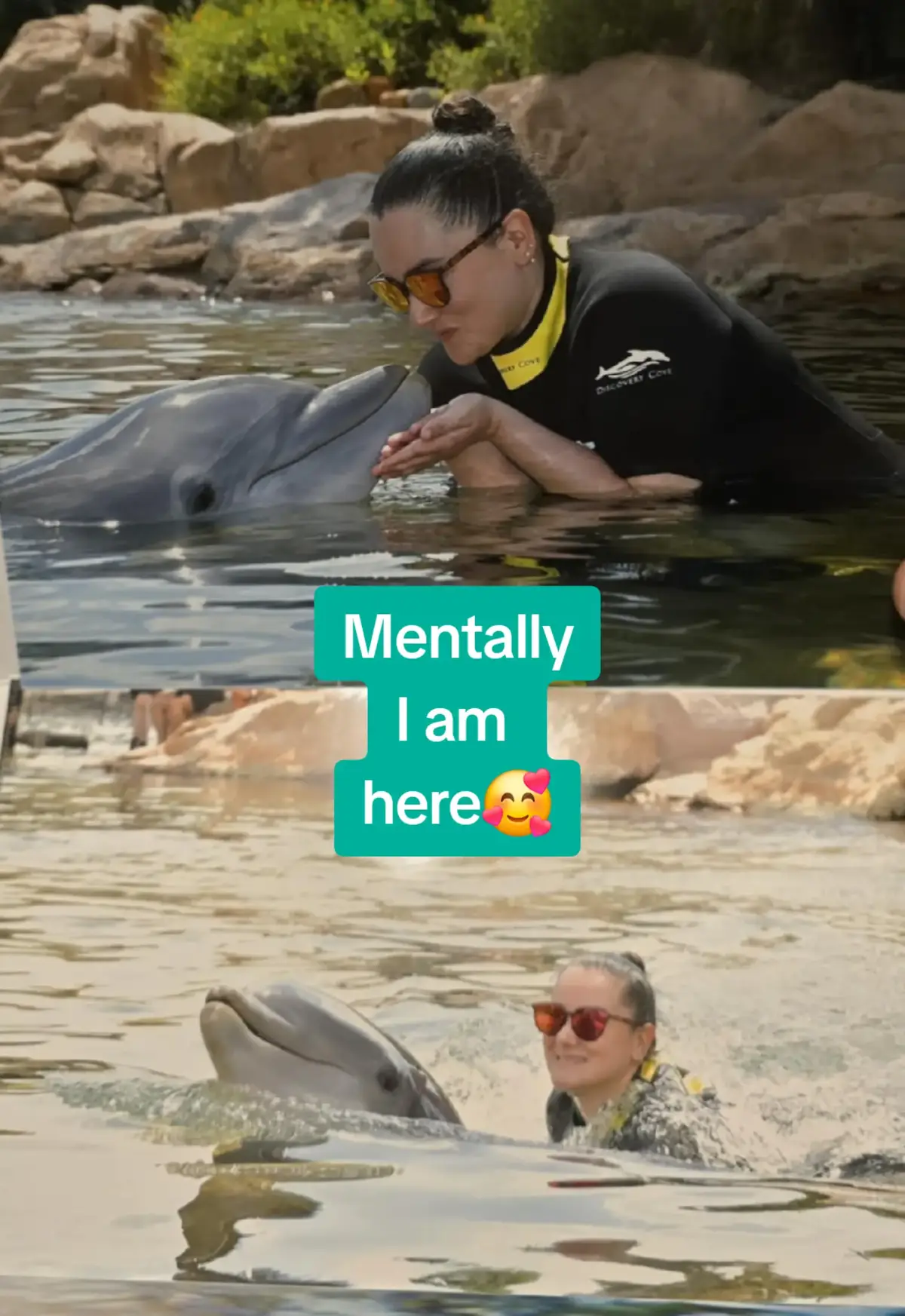 #discoverycove  #orlando  #orlandoflorida  #dolphin  #vaca 