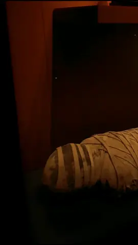 Comment “Kansas City” below and I’ll send you our full family-friendly KC itinerary! 📌 If you’re looking for free things to do in @kansascity with kids, the Nelson-Atkins museum of Art is a must-visit! This beautiful museum is completely free to enter (yes, free!), and it’s the perfect mix of family fun and culture. My boys loved exploring all the different exhibits, but my favorite part was the Egyptian gallery, where we saw a real mummy up close. Such a cool learning experience for the whole family. ✨️ The museum is also famous for its giant shuttlecocks on the lawn, which make the best photo spot! 🕑 The Nelson-Atkins is open Wednesday–Monday from 10 AM to 5 PM, with extended hours until 9 PM on Fridays. It’s closed on Tuesdays, so plan ahead. Whether you’re a local or just traveling through Kansas City, this is one of the best free attractions to add to your list. Parking in the garage is $14, but there are some free street spots if you don’t mind a short walk. 📌 Save this for your next Kansas City family trip,your kids (and your wallet) will thank you! @Visit Missouri @Steller  #ThatsMyMO #Missouri #museum #travel #familytravel 