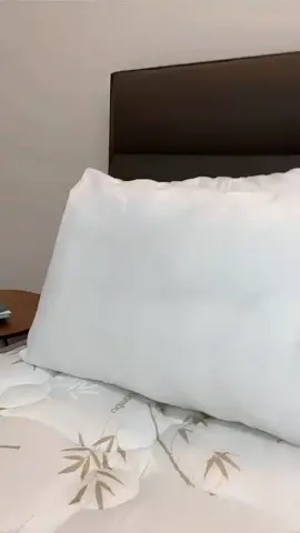 Kit 4 Travesseiro Pluma de Ganso Confortavel e Macio Antiacaro 70x50cm por R$29,90 - R$54,90.  ✨Compre na Shopee agora! https://s.shopee.com.br/6VEjpT0Jnx #travesseiro #quarto #casal #aconchego #cantinho 