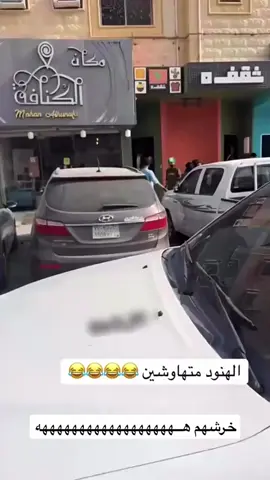 #اكسبلور #zainabm 