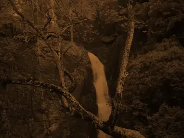 #علي لاوئلي