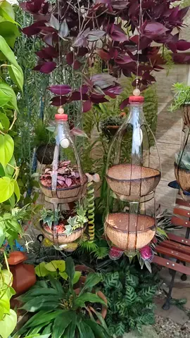 Meu jardim com arte! ✨🎨♻️💚 Ideia super criativa feita com garrafas PET e cascas de coco! Faça você mesmo!!! O passo a passo está no meu Canal no YouTube: Manias de Rose Mary #ideiascriativas #sustentabilidade #gardenlove #artesanato #craft 