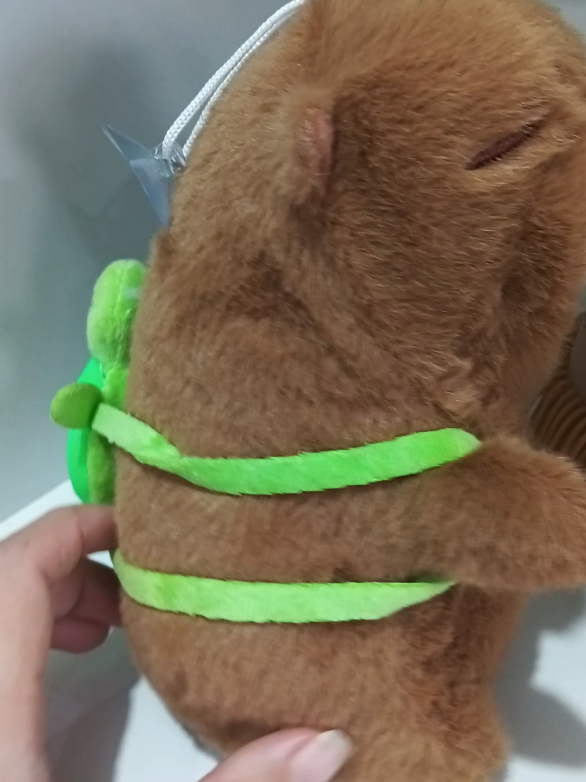 Capivara filo de pelúcia, com mochilinha tartaruga e tecido antialérgico, grande e resistente para a diversão da criançada ou para guardar de enfeite, adquira já a sua com desconto #capivara #pelucia #presente #diadascriancas 