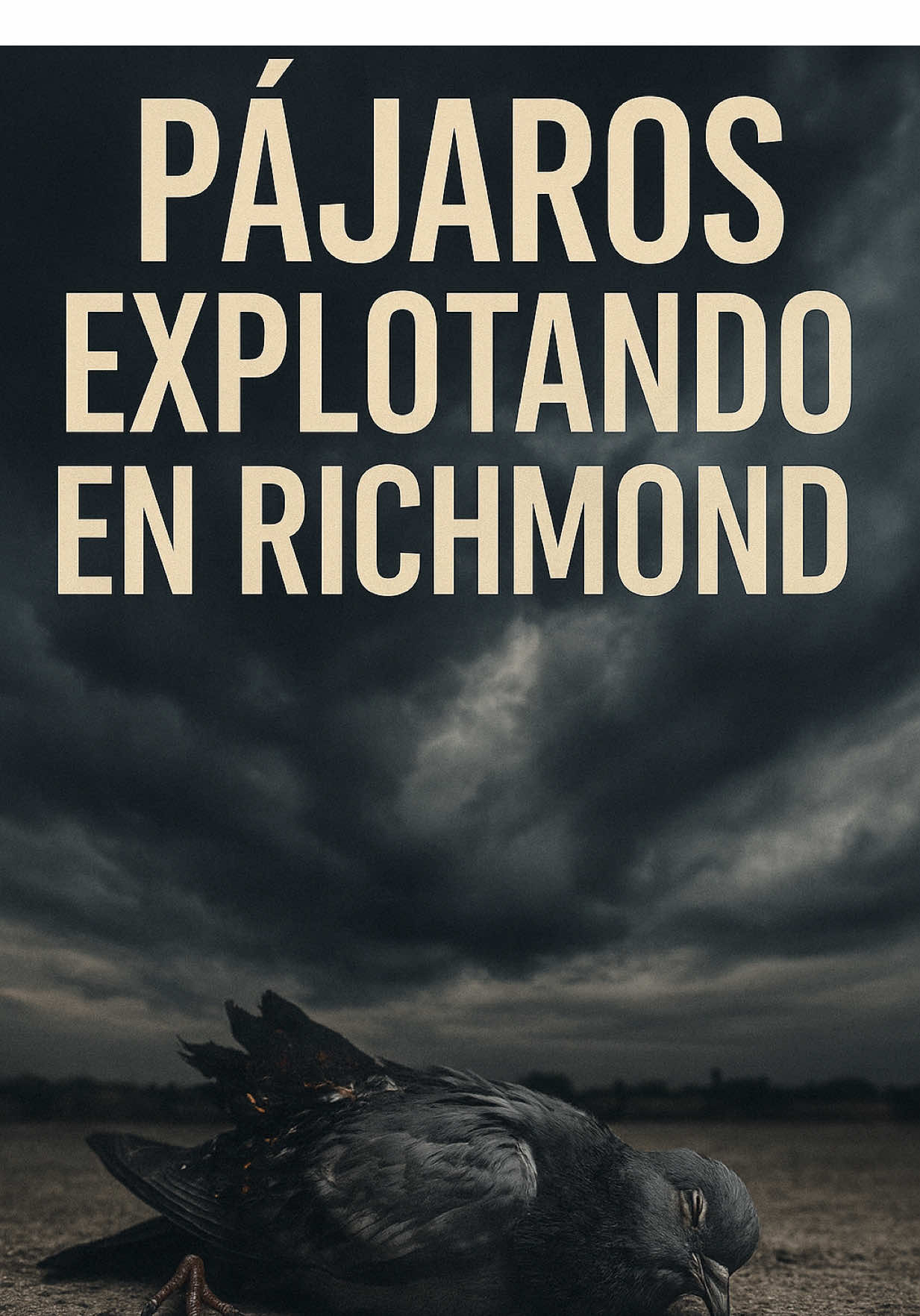 En mayo de 2025, en Richmond comenzaron a caer pájaros del cielo de una forma inexplicable. 🕊️ Testigos aseguran que algunos incluso explotaban en pleno vuelo. Un misterio que todavía no tiene respuesta clara. #richmond #usa #misterios #fenomenosextraños
