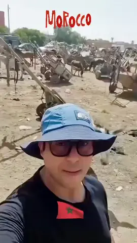 #الجزائر_تونس_المغرب 