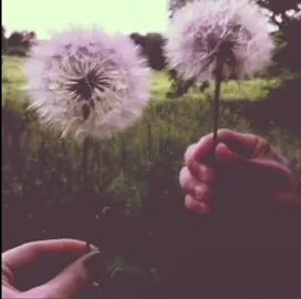 #moodboard #aesthedic #nostalgia #pinterest #fyp 