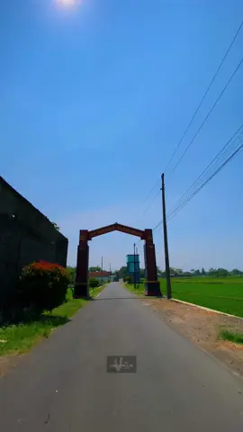 #manggis #pulosari #kebakramat_karanganyar #karanganyar24jam #fyp 