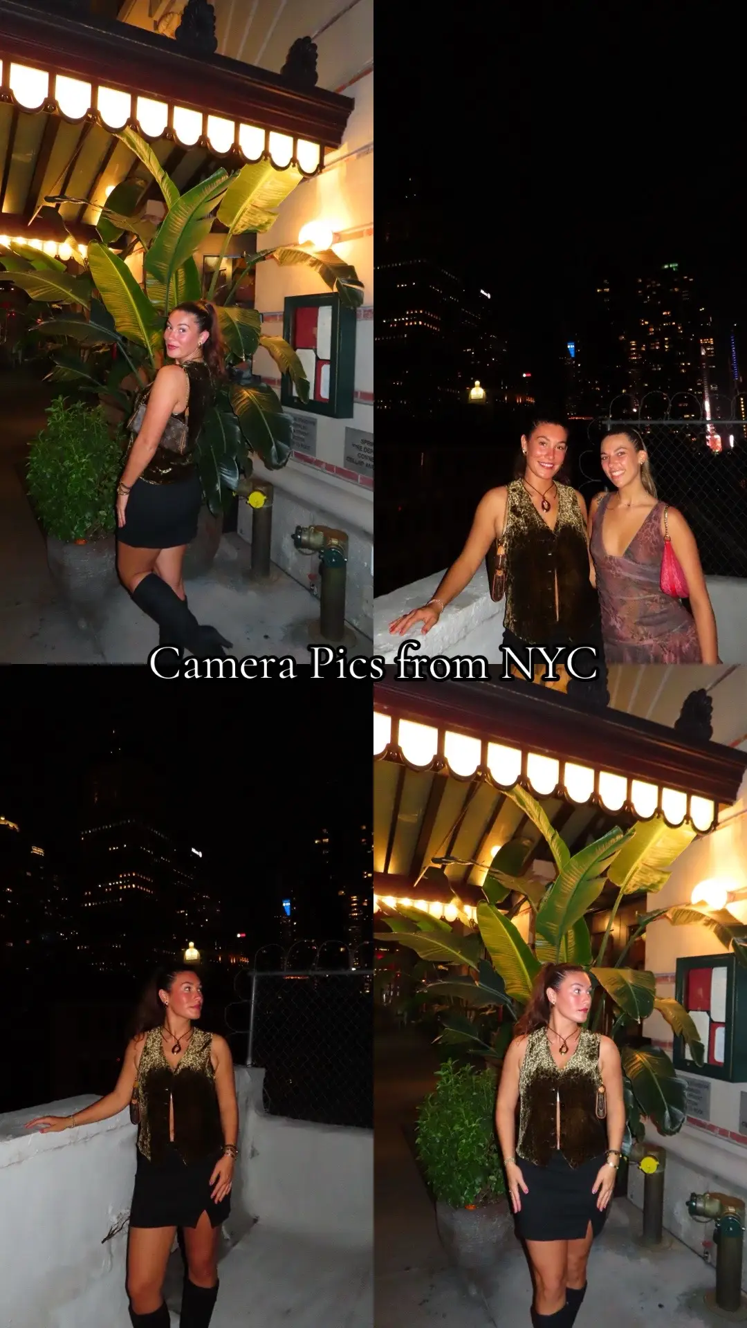 Straight off the camera no filters #canonsx740hs #canoncamera #digitalcamera 