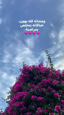 #viral #fyp #viralvideo #explore #tiktok 