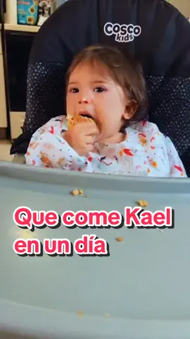 Me lo pidieron y yo obedezco 🙌🏽  #comidasparatoddlers #comidasparabebes #comidaparabebes #comidaparatoddlers #mamádetres #mamádevarones #educateconjunyy #nutricionparaniños #nutricionparabebes #nutricioninfantil 