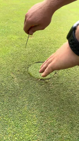 Fixing up some scalped plugs #onthecourse #golfcoursemaintenance #satisfying #asmr #shmichael 