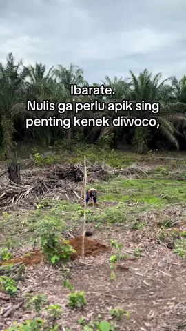 Podo karo menungso gak perlu ganteng ning berguno👌🏻📈📈#petaniindonesia🇮🇩🇮🇩🇮🇩🌿🌿 #petanimudamilenial #petanimuda #foryou #fyppppppppppppppppppppppp #foryoupage 