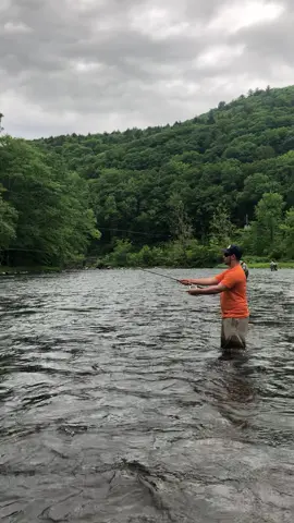 One with Nature #trending #viral #fish #fishing #fyp 