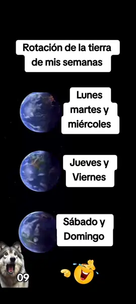 #siteriespierdes #divertido #carcajadas #polemico #comico 