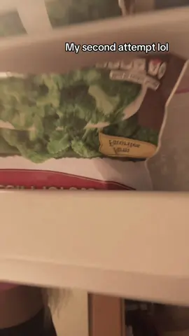 This is lowkey mad hard to do lol #sugaronmytongue #sugaronmytonguetrend #trending #kimberlykimpena #fridgetrend 